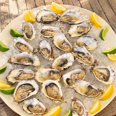 Schaal met verse oesters op ijs tijdens een feestelijk evenement bij beachclub Solbeach.